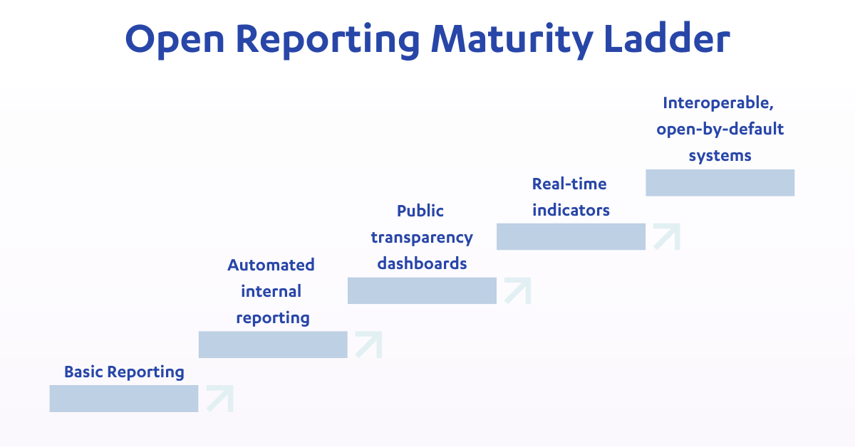 Open Reporting Maturity Ladder