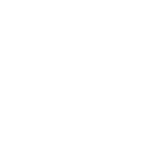 Registry Advisory Services Icons- Modernisation Support