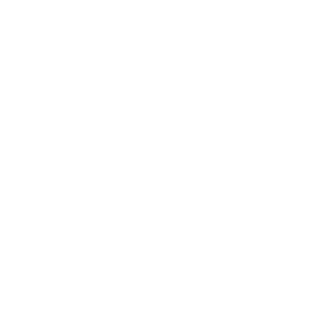 Registry Advisory Services Icons- Registry Capability Maturity Model